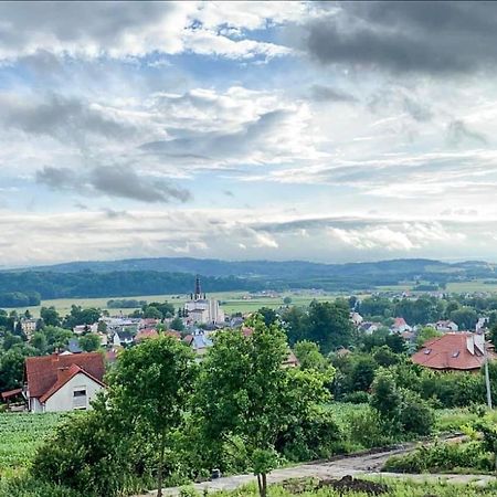 Domek Na Wzgorzu Villa Dubiecko Dış mekan fotoğraf