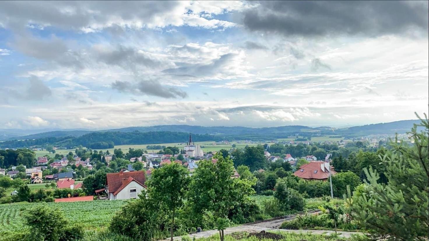 Domek Na Wzgorzu Villa Dubiecko Dış mekan fotoğraf